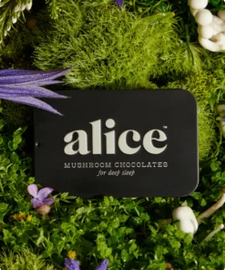 Nightcap Mushroom Chocolate Bar