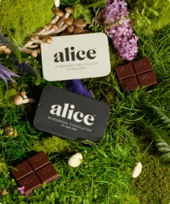 The Duo Chocolate Mushroom Bar